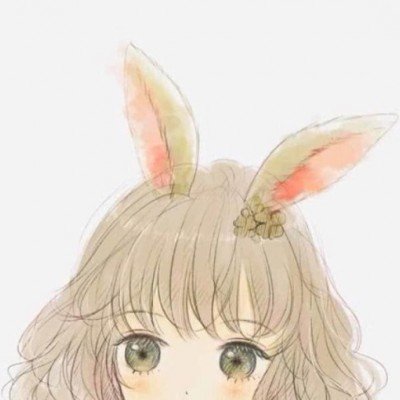 司长王小宁：我打个广告